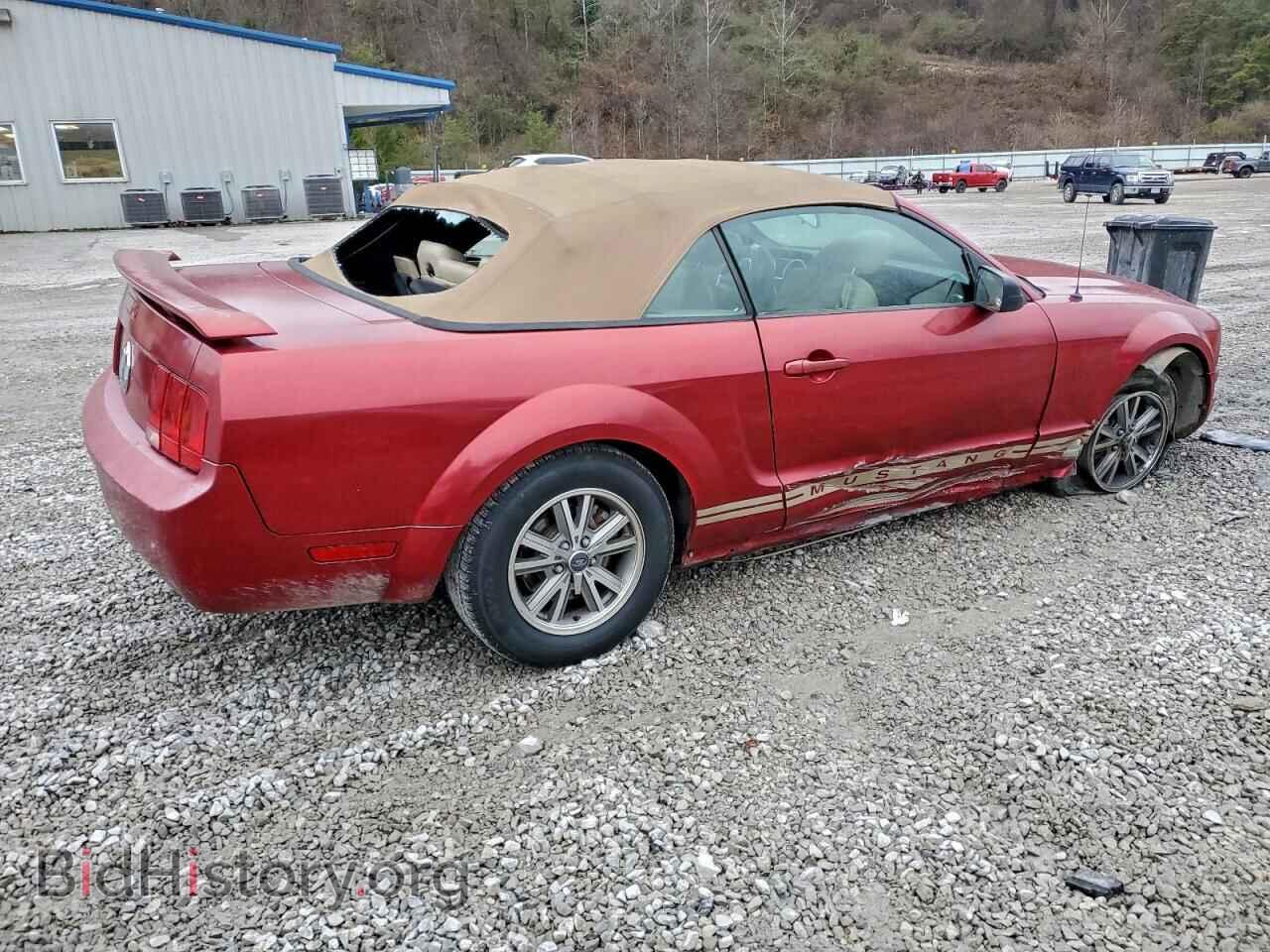 2005 FORD ALL Models - VIN: 1ZVFT84N455198000 - Фото 3