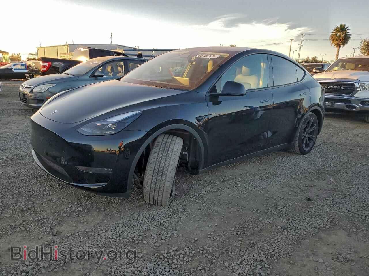 Фотография 7SAYGDED6RF127435 - TESLA MODEL Y 2024