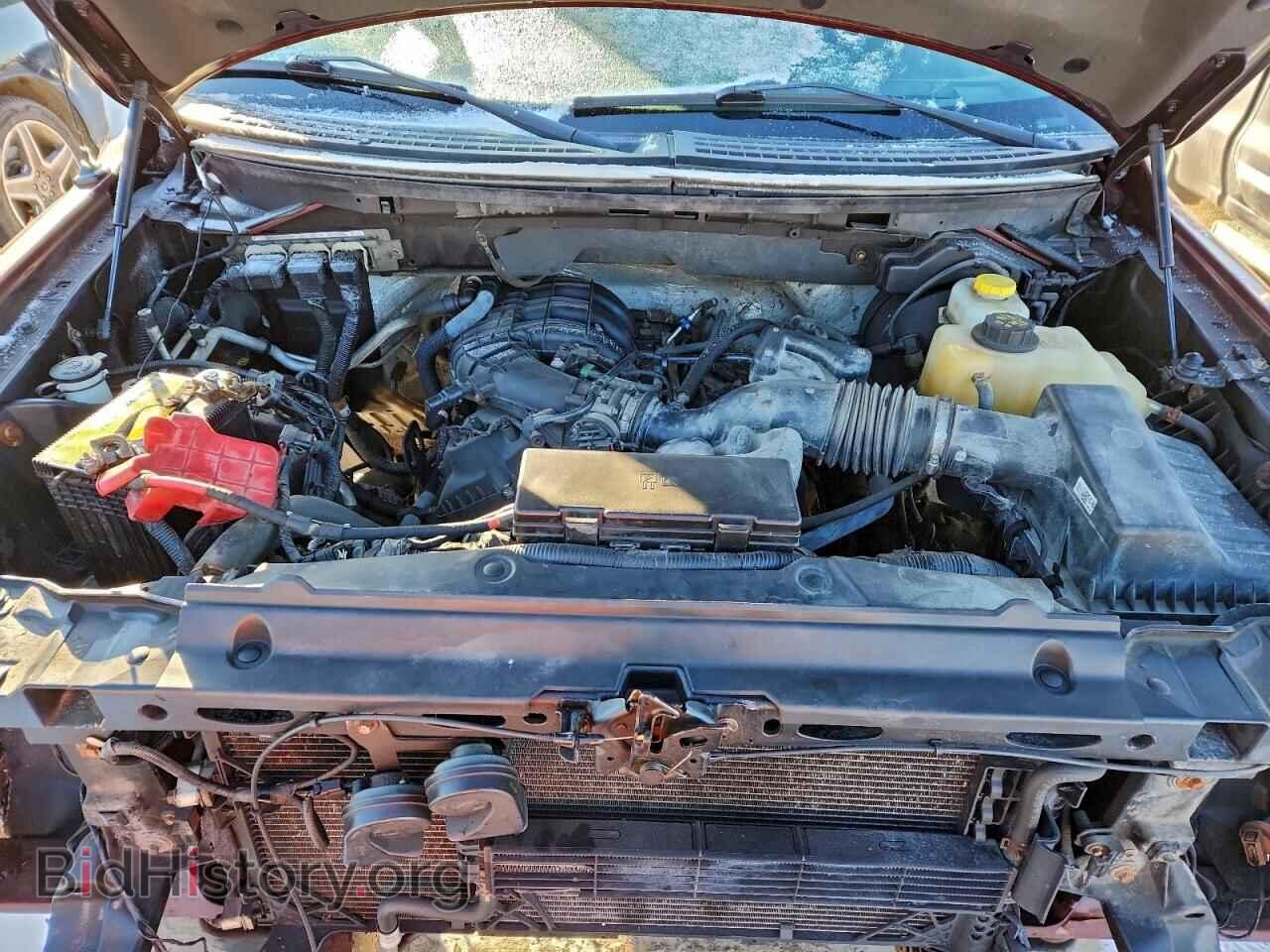2014 FORD All Models - VIN: 1FTMF1EM3EKF12431 - Фото 11