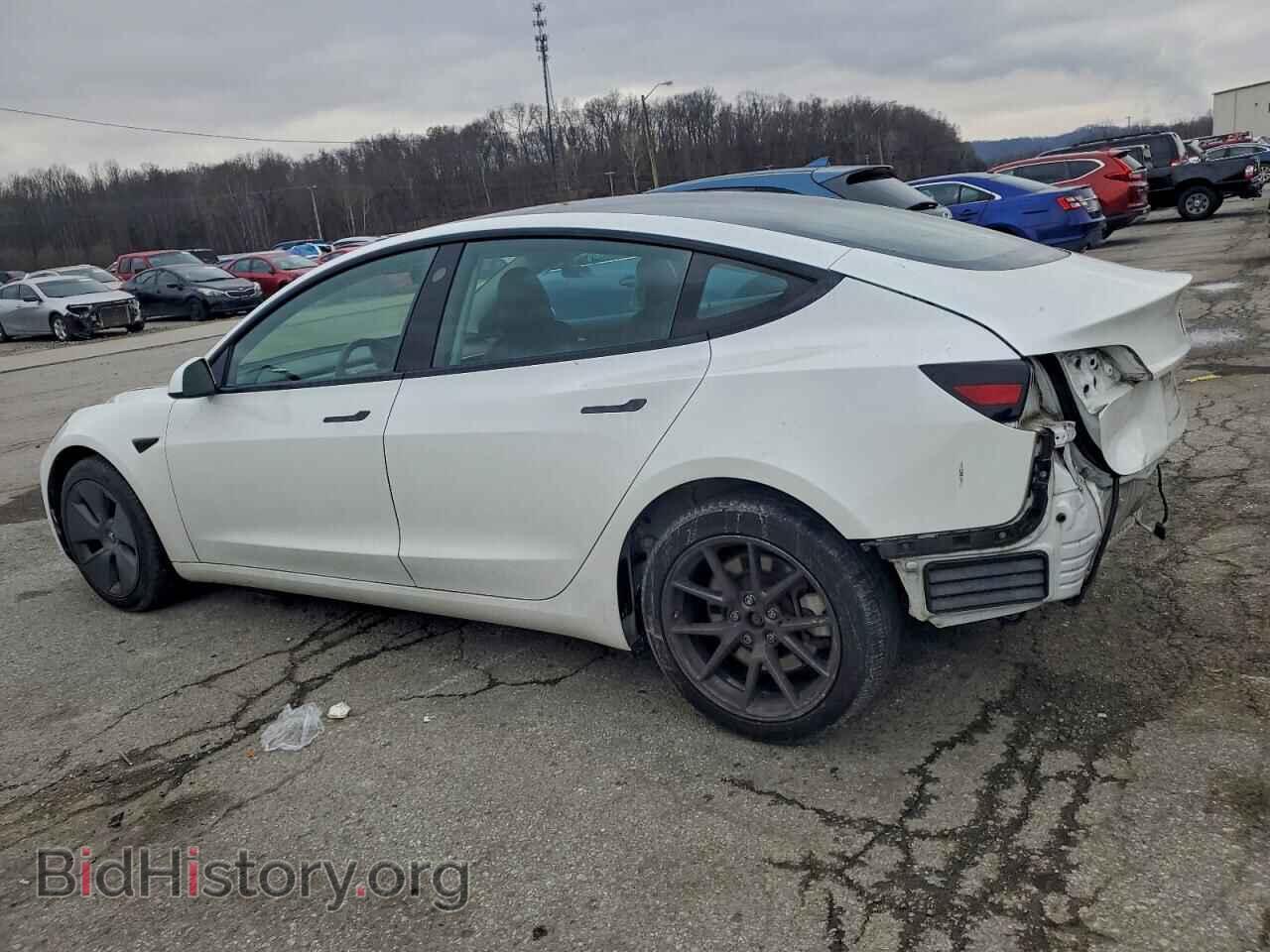2023 TESLA MODEL 3 - VIN: 5YJ3E1EA9PF434502 - Фото 2