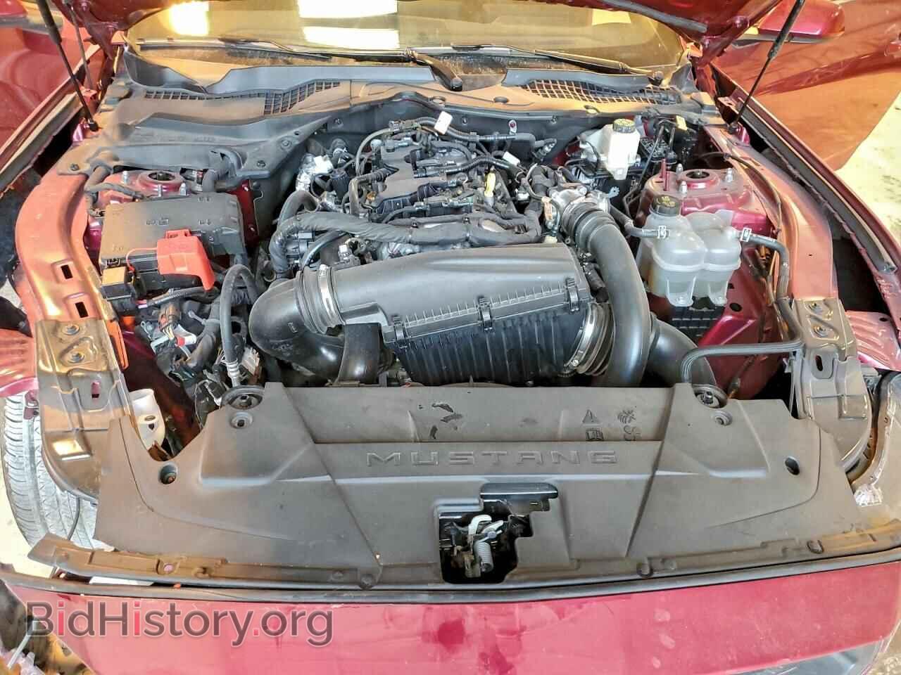 2025 FORD ALL Models - VIN: 1FA6P8TH1S5120942 - Фото 11