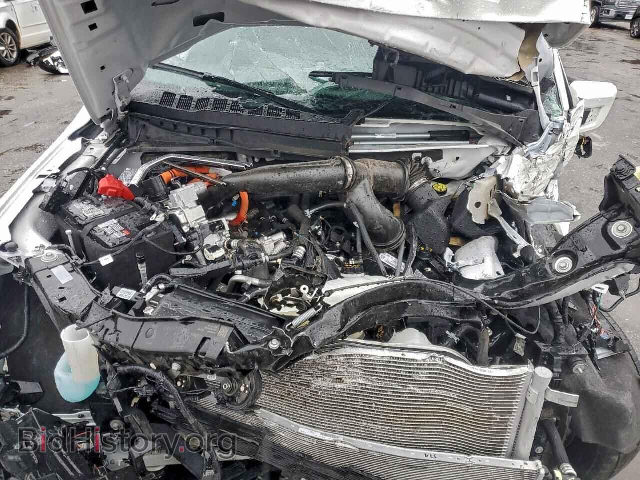 2024 FORD F150 - VIN: 1FTFW6LD9RFA52005 - Фото 11