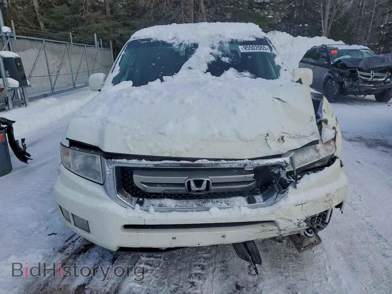 2010 HONDA RIDGELINE - VIN: 5FPYK1F56AB006157 - Фото 5