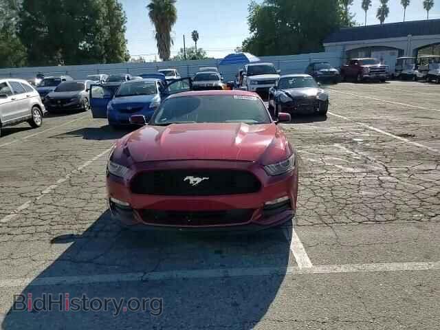 2017 FORD ALL Models - VIN: 1FA6P8AMXH5286952 - Photo 14