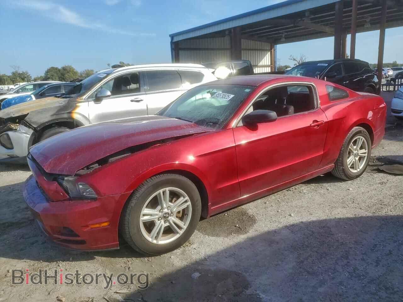 Photo 1ZVBP8AM5E5330812 - FORD ALL Models 2014