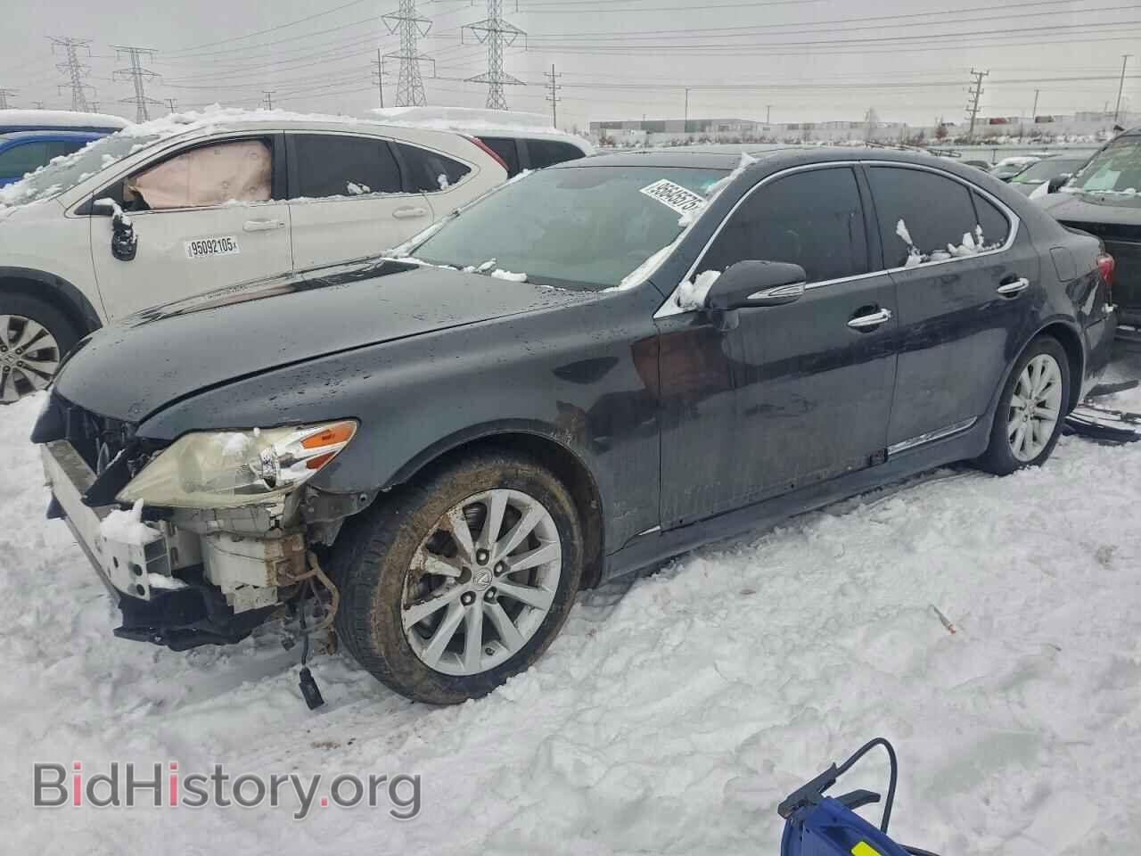 Фотография JTHCL5EF2B5011830 - LEXUS LS460 2011