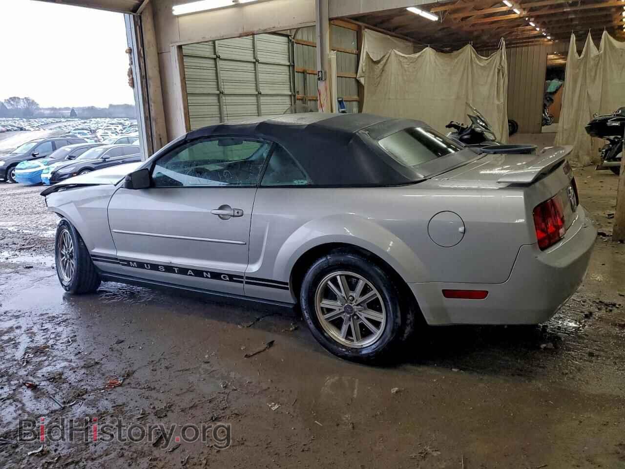2005 FORD ALL Models - VIN: 1ZVFT84N655215945 - Photo 2