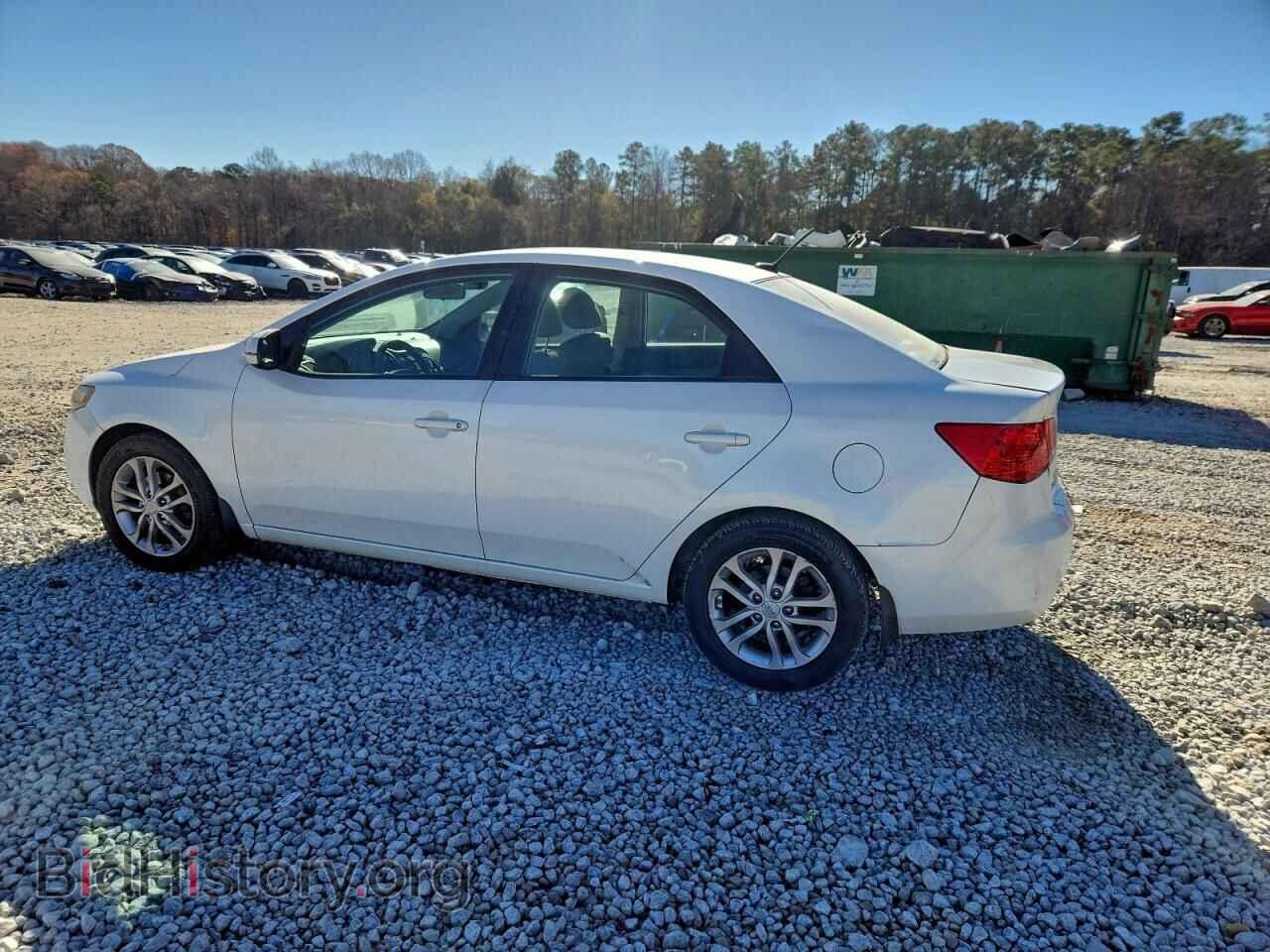 2012 KIA FORTE - VIN: KNAFU4A28C5534597 - Фото 2