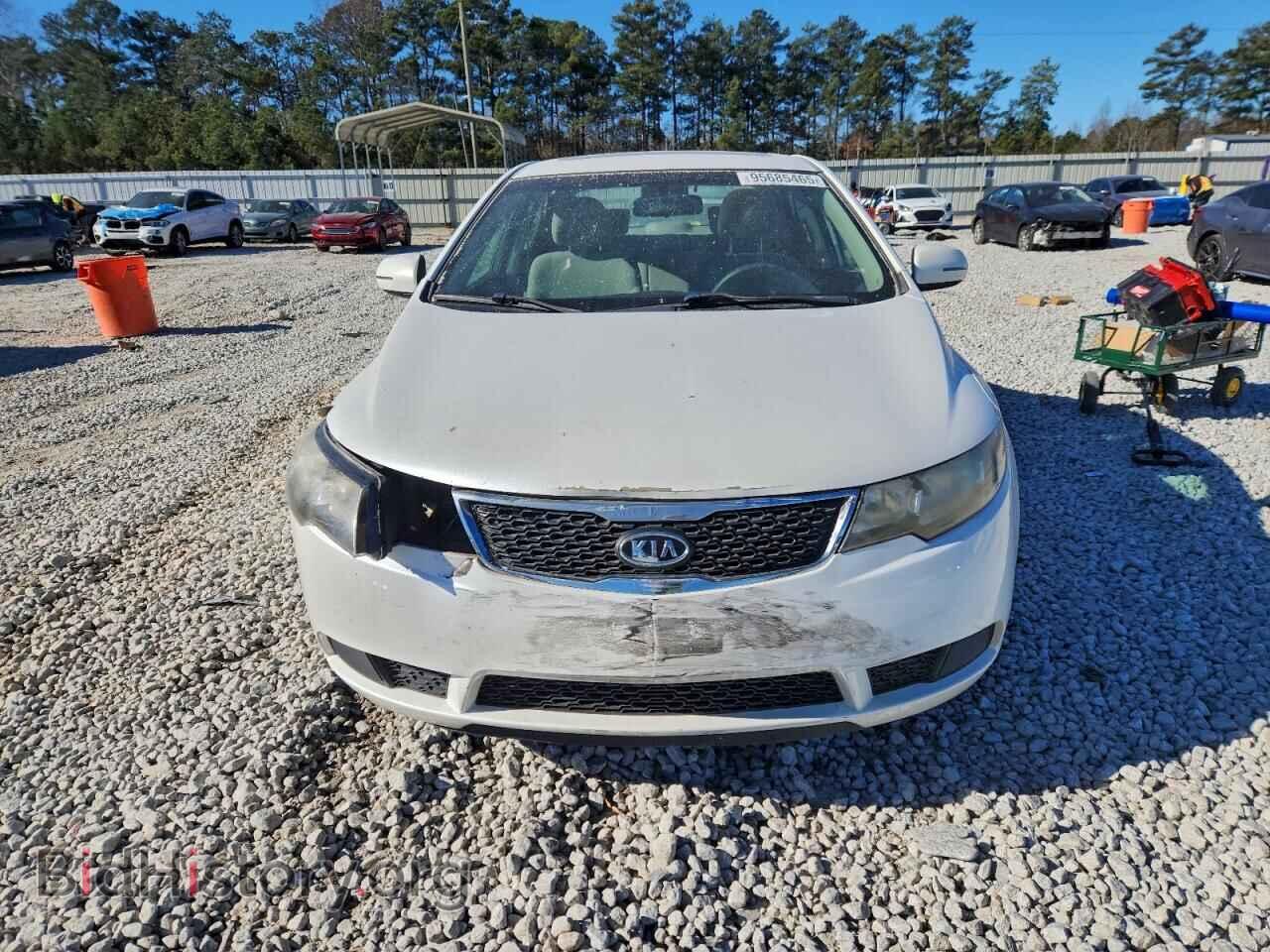 2012 KIA FORTE - VIN: KNAFU4A28C5534597 - Фото 5