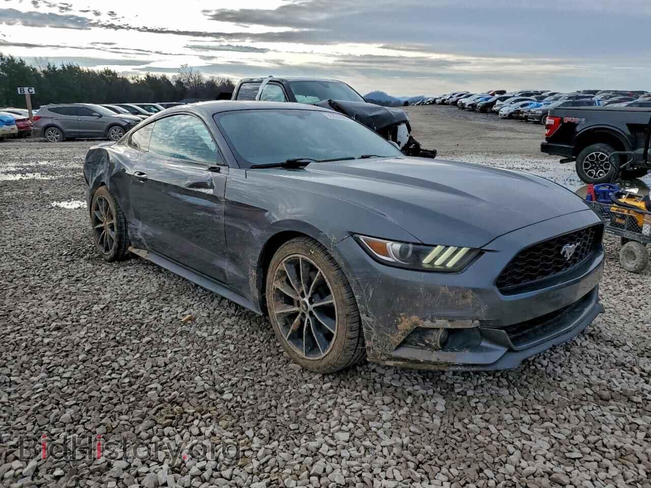 2017 FORD ALL Models - VIN: 1FA6P8TH9H5249357 - Фото 4