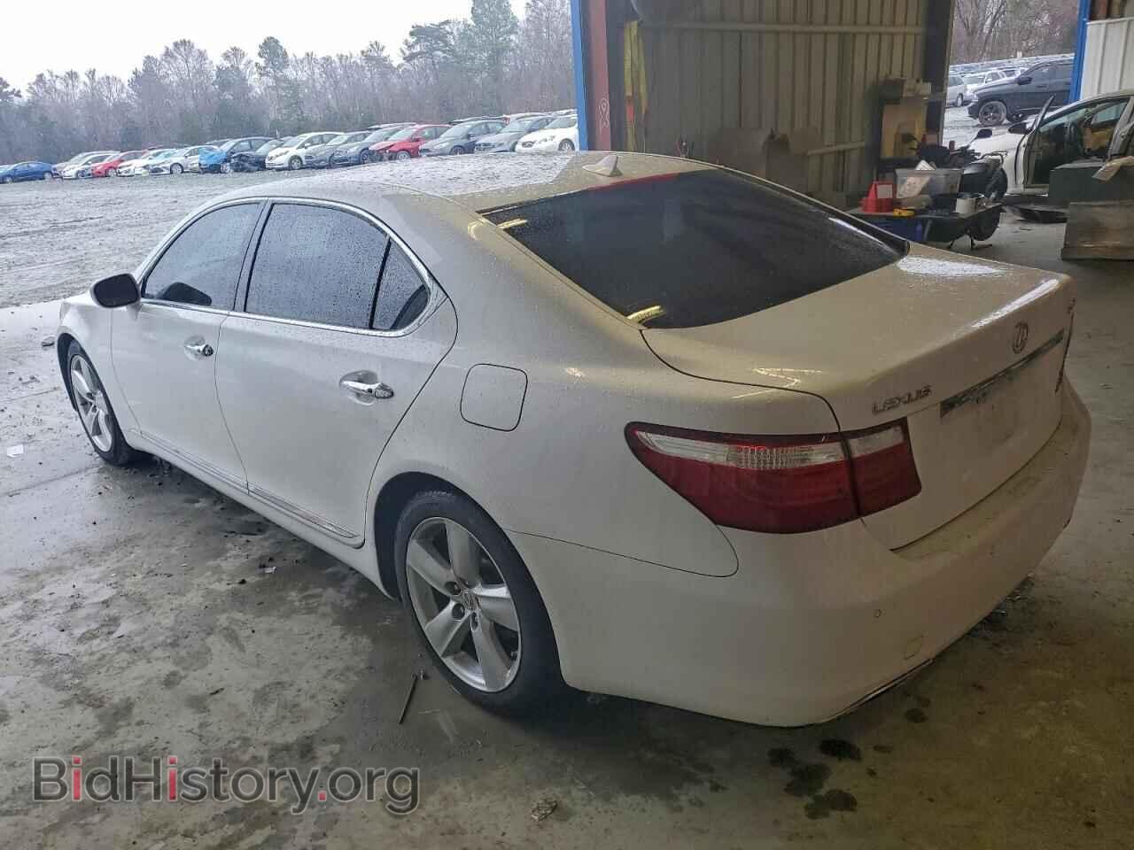 2009 LEXUS LS460 - VIN: JTHGL46F595036595 - Фото 2
