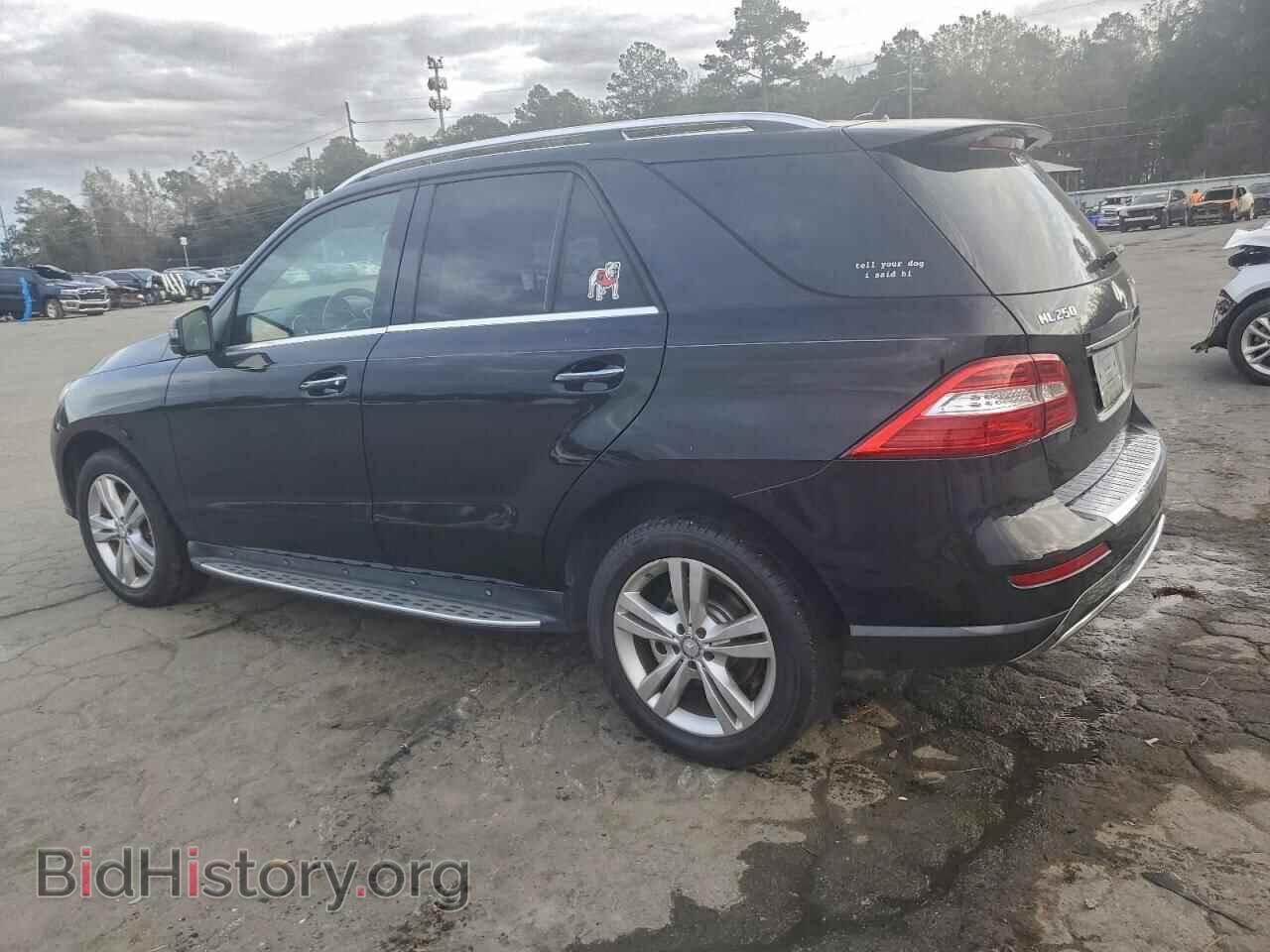 2015 MERCEDES-BENZ M-CLASS - VIN: 4JGDA0EB8FA535004 - Фото 2