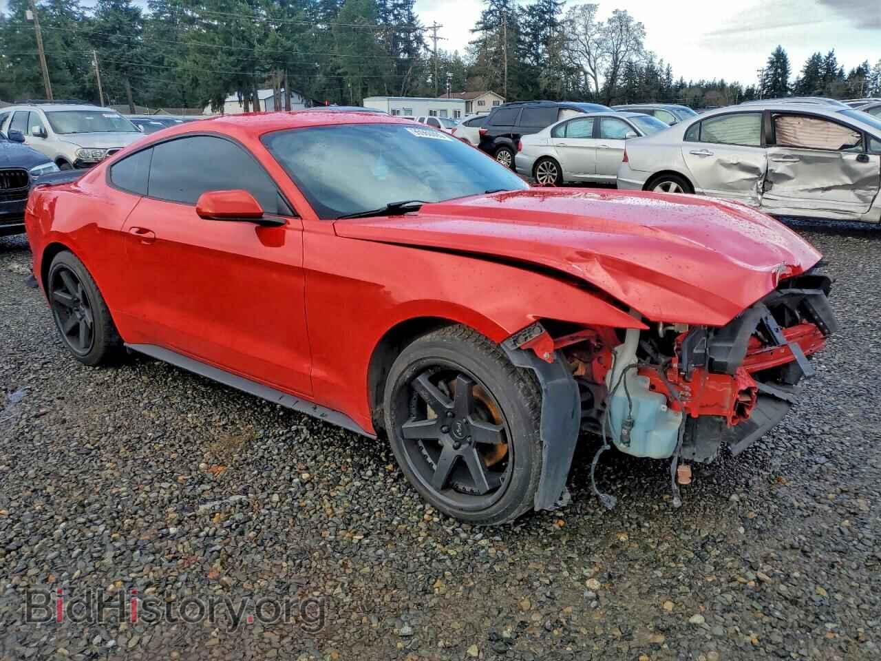 2016 FORD ALL Models - VIN: 1FA6P8TH0G5238228 - Photo 4