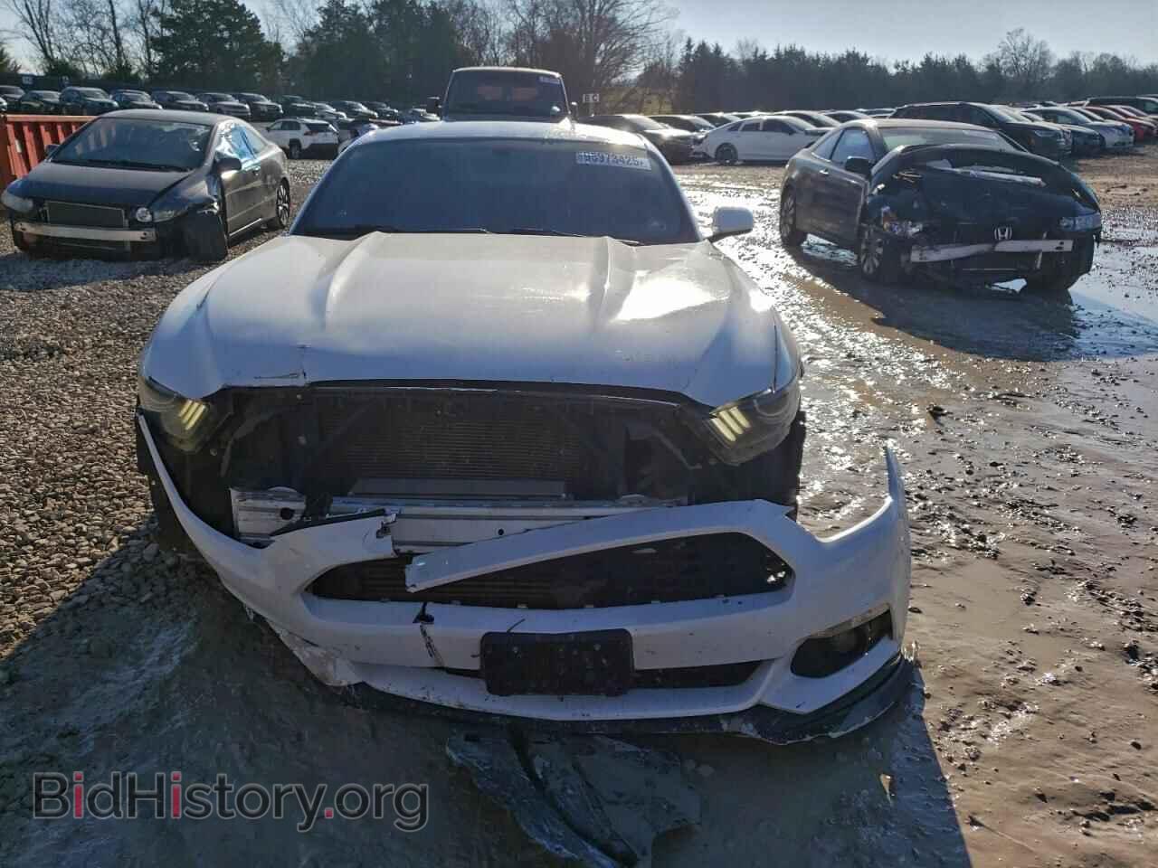 2015 FORD ALL Models - VIN: 1FA6P8TH0F5384689 - Фото 5