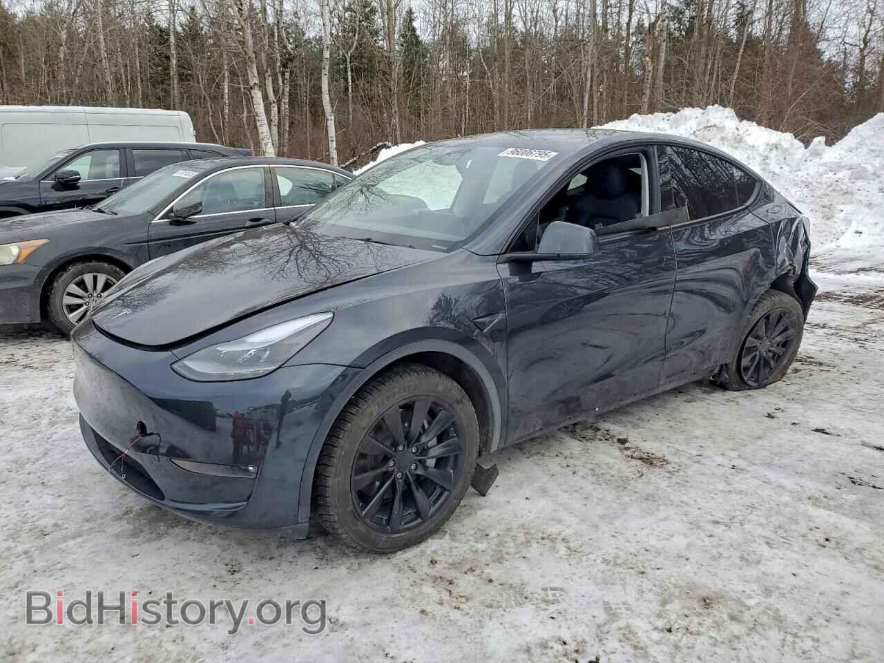 Фотография 7SAYGDEE5RF992597 - TESLA MODEL Y 2024