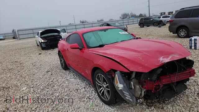 2016 FORD ALL Models - VIN: 1FA6P8TH3G5267657 - Photo 14