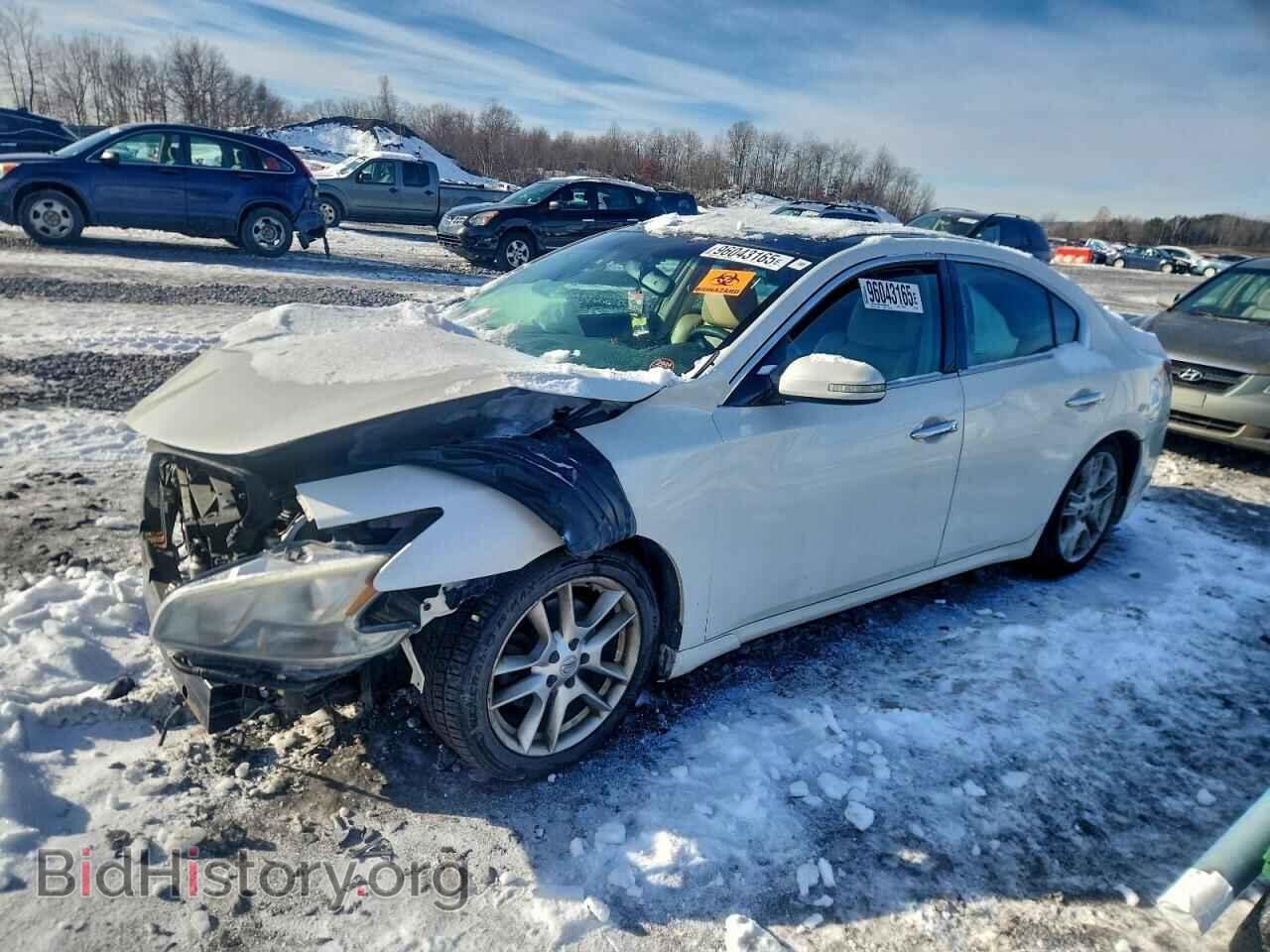Photo 1N4AA51E09C847983 - NISSAN MAXIMA 2009