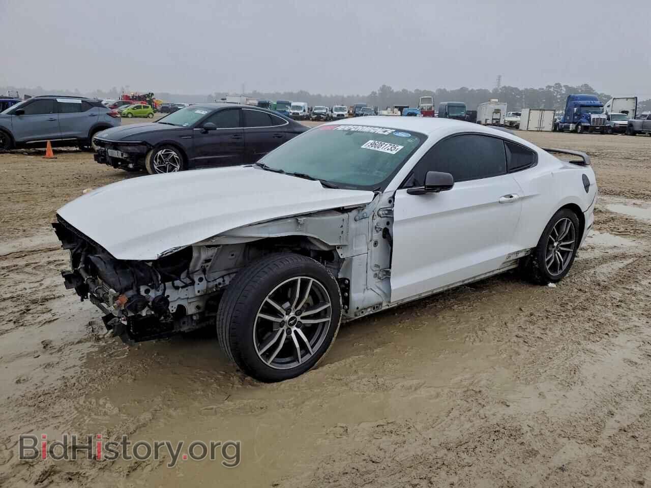 Photo 1FA6P8TH0H5312667 - FORD ALL Models 2017