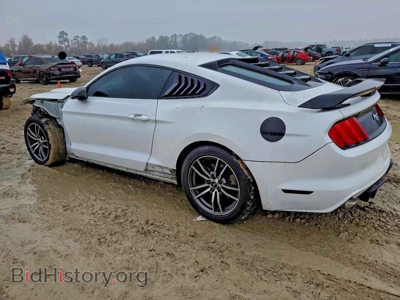 2017 FORD ALL Models - VIN: 1FA6P8TH0H5312667 - Photo 2