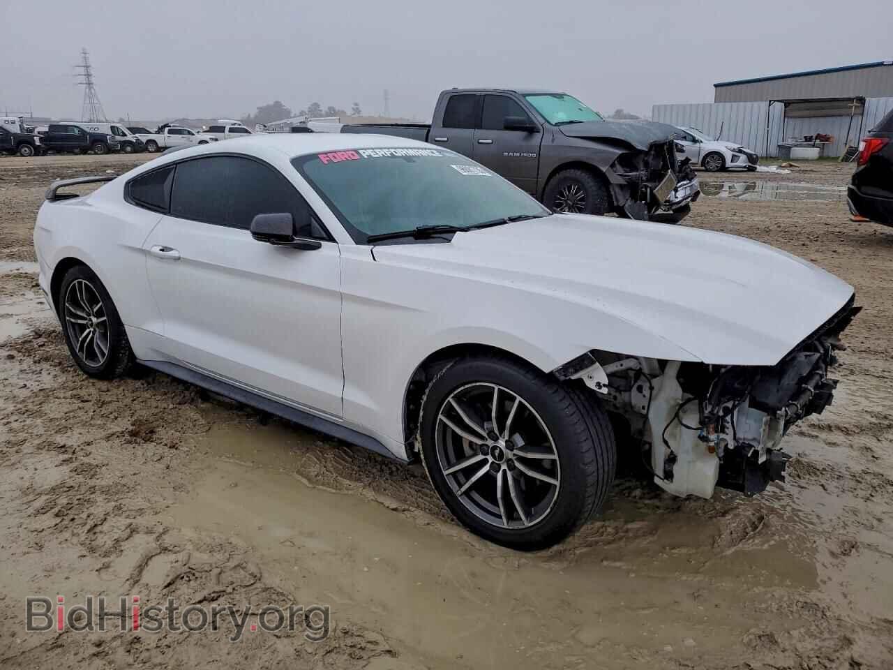 2017 FORD ALL Models - VIN: 1FA6P8TH0H5312667 - Photo 4