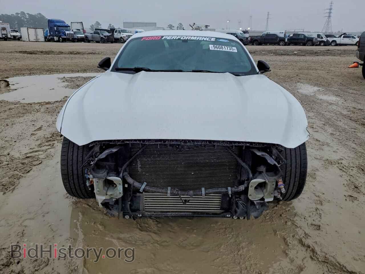 2017 FORD ALL Models - VIN: 1FA6P8TH0H5312667 - Photo 5