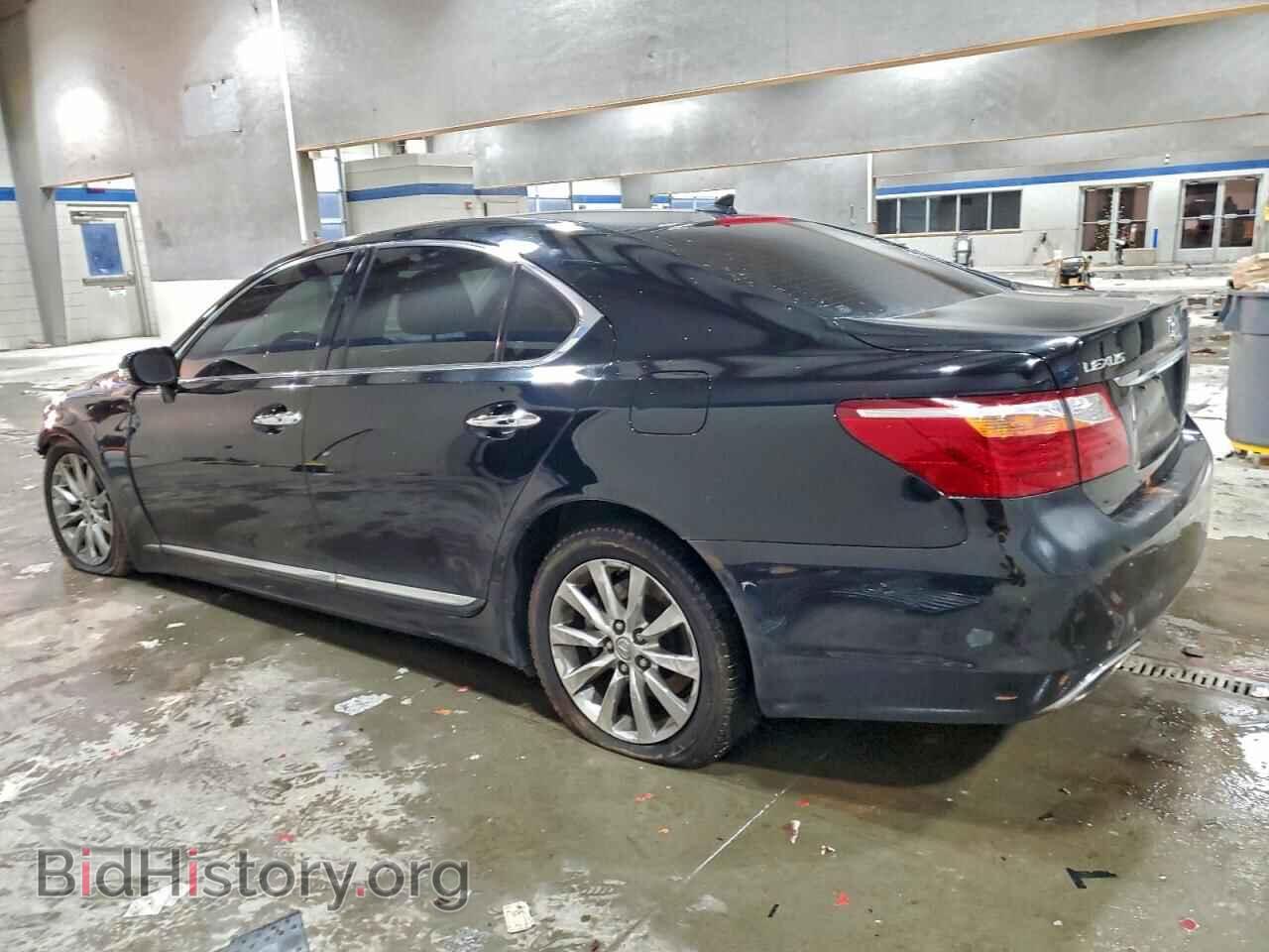 2010 LEXUS LS460 - VIN: JTHCL5EF8A5005657 - Фото 2
