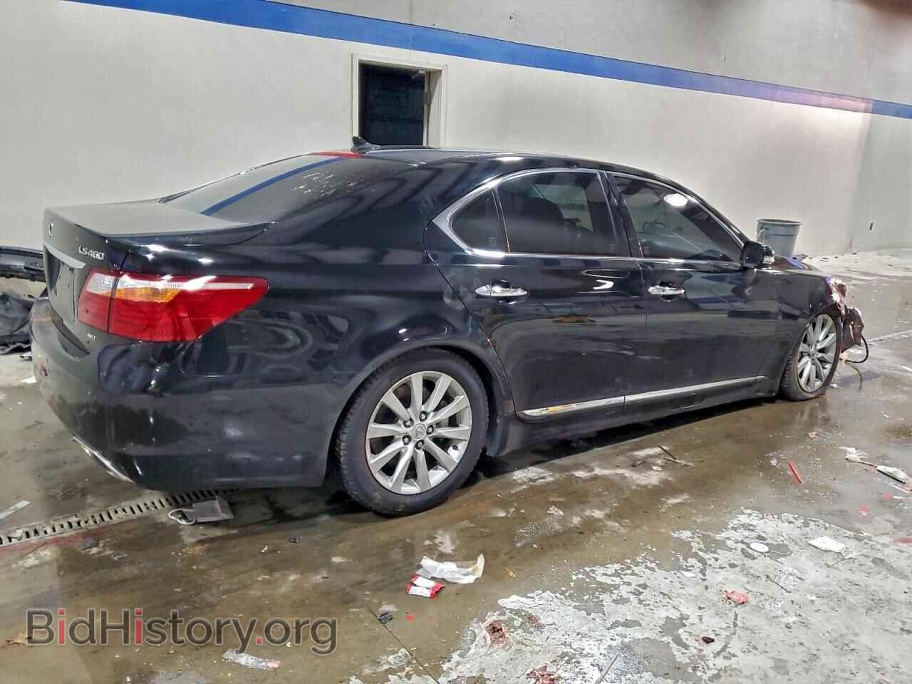 2010 LEXUS LS460 - VIN: JTHCL5EF8A5005657 - Фото 3