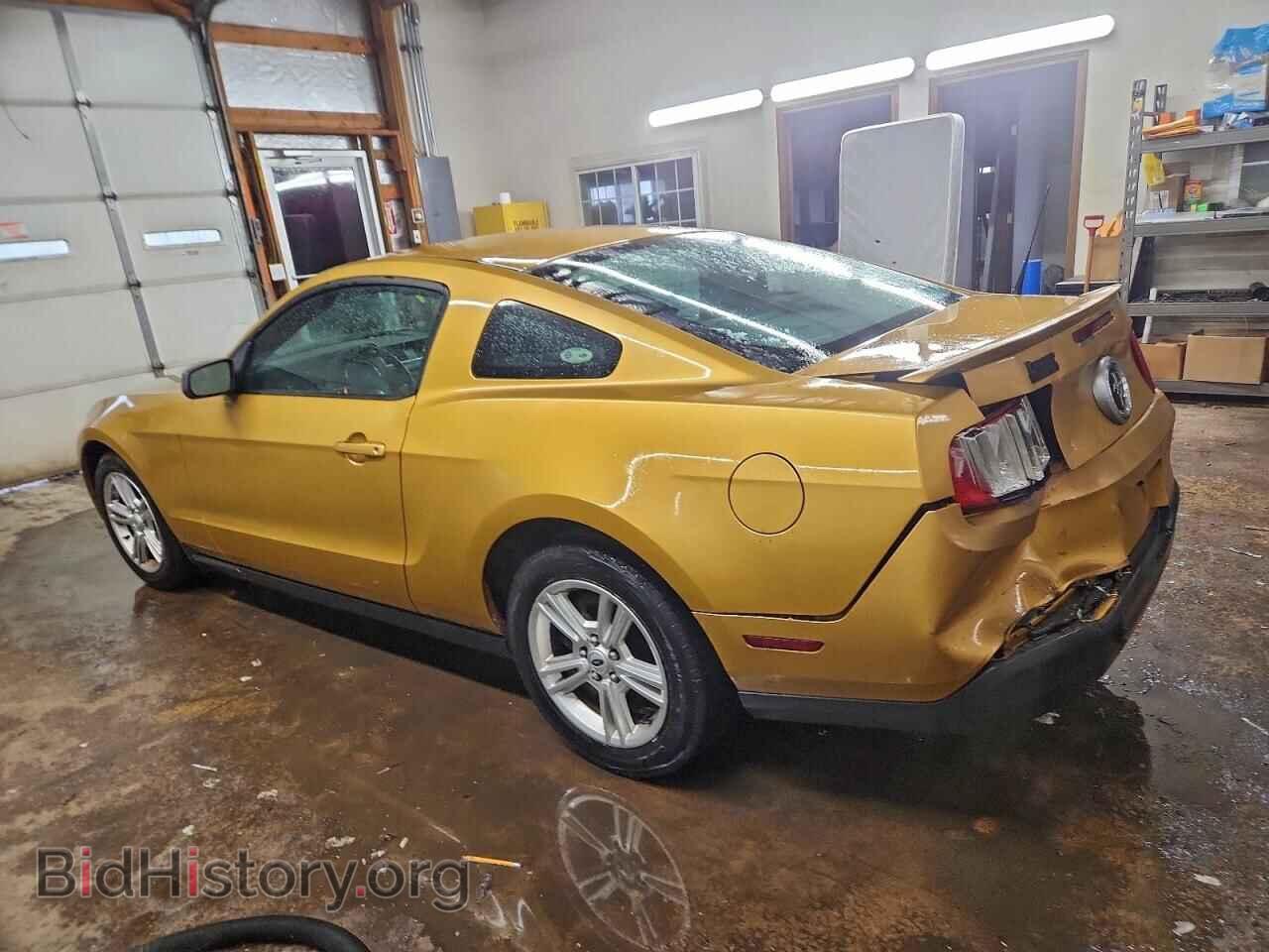2010 FORD ALL Models - VIN: 1ZVBP8AN4A5144553 - Фото 2