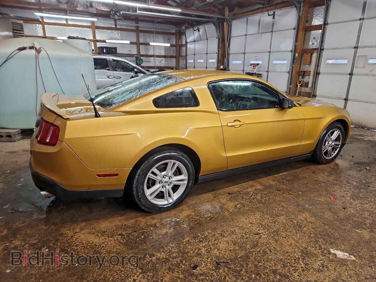 2010 FORD ALL Models - VIN: 1ZVBP8AN4A5144553 - Фото 3