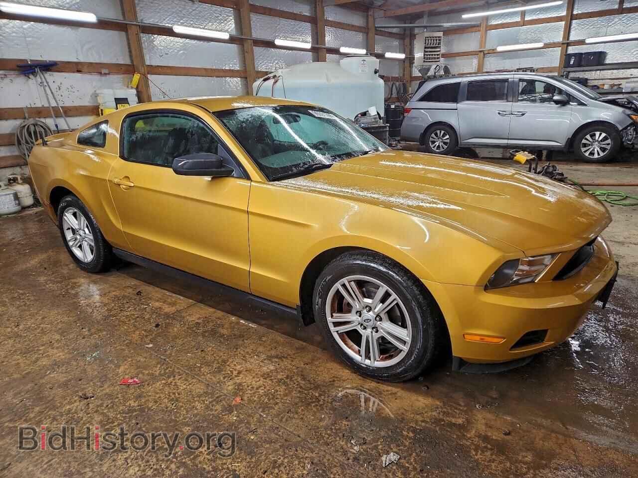 2010 FORD ALL Models - VIN: 1ZVBP8AN4A5144553 - Фото 4