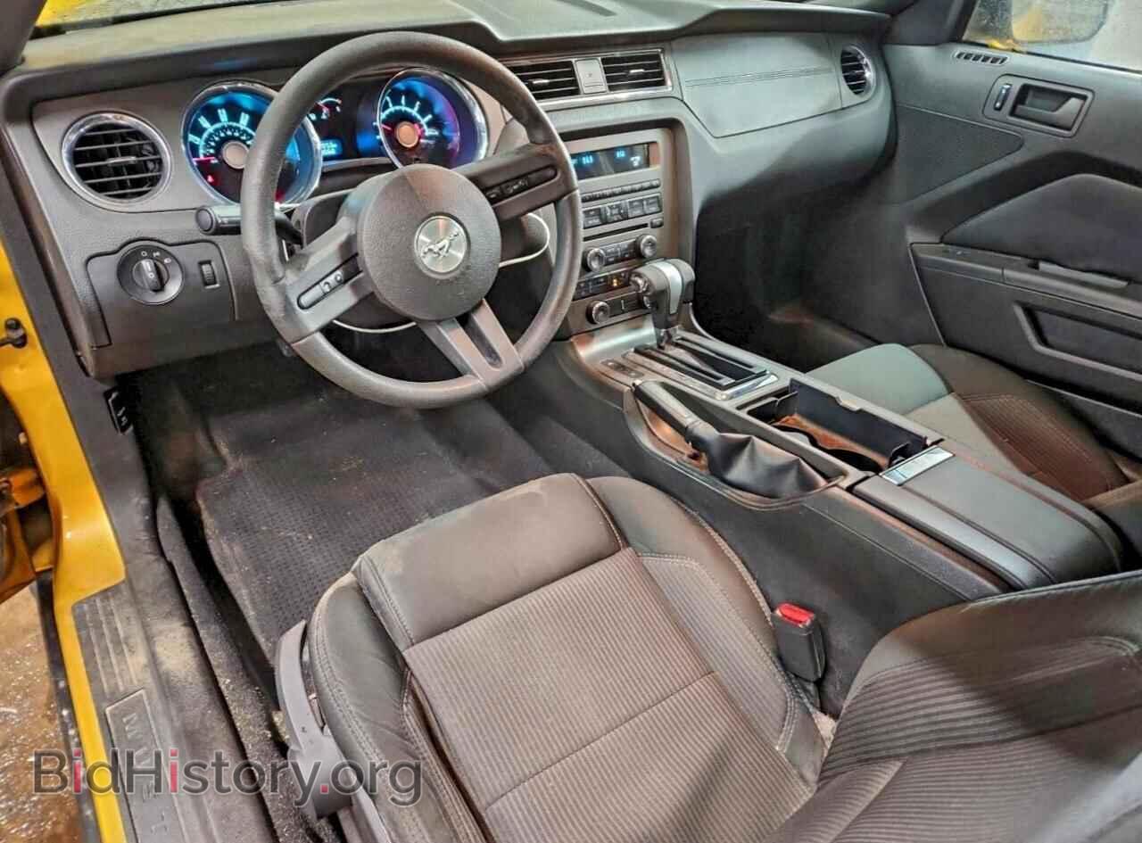 2010 FORD ALL Models - VIN: 1ZVBP8AN4A5144553 - Фото 8