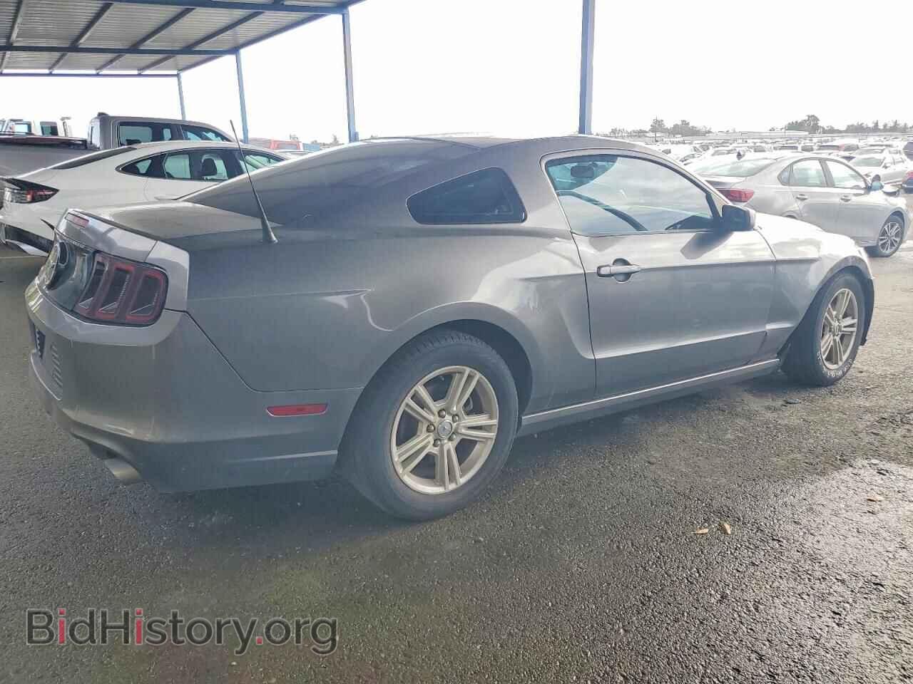 2014 FORD ALL Models - VIN: 1ZVBP8AM4E5332079 - Фото 3
