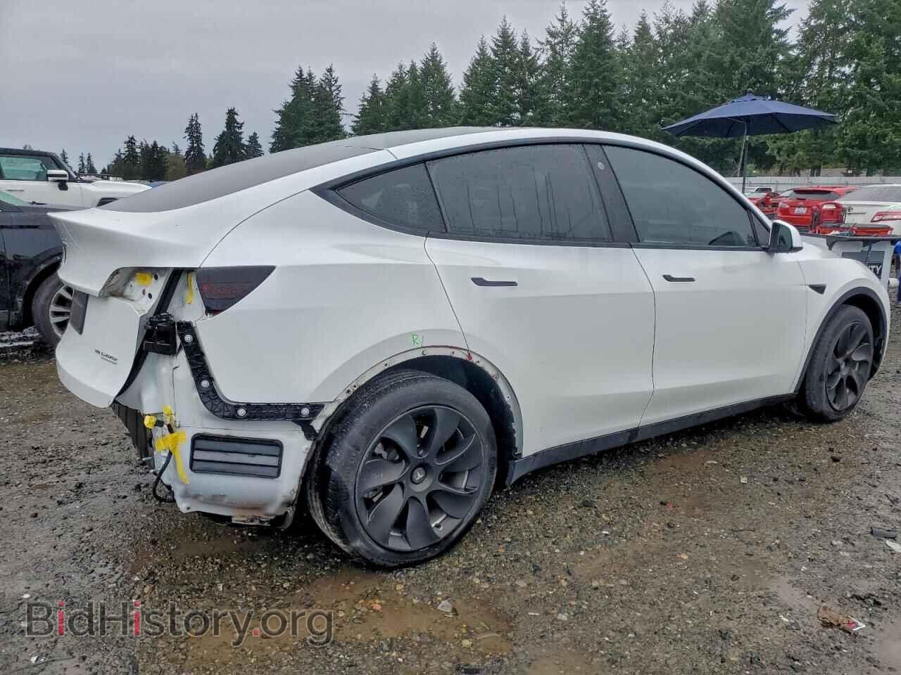 2021 TESLA MODEL Y - VIN: 5YJYGDEE2MF210214 - Фото 3