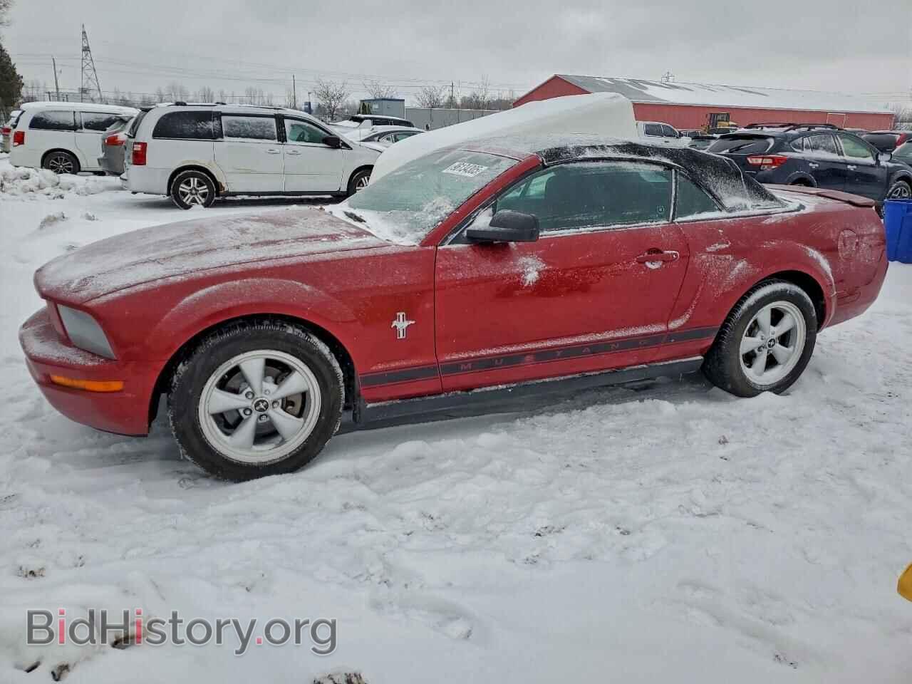 Photo 1ZVHT84N185107200 - FORD ALL Models 2008