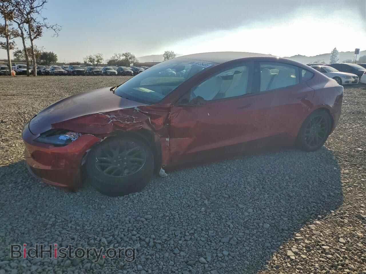 Photo 5YJ3E1EB2RF809724 - TESLA MODEL 3 2024