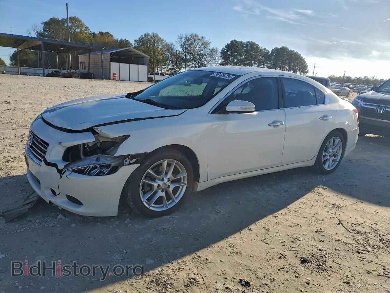 Photo 1N4AA5AP0BC858652 - NISSAN MAXIMA 2011