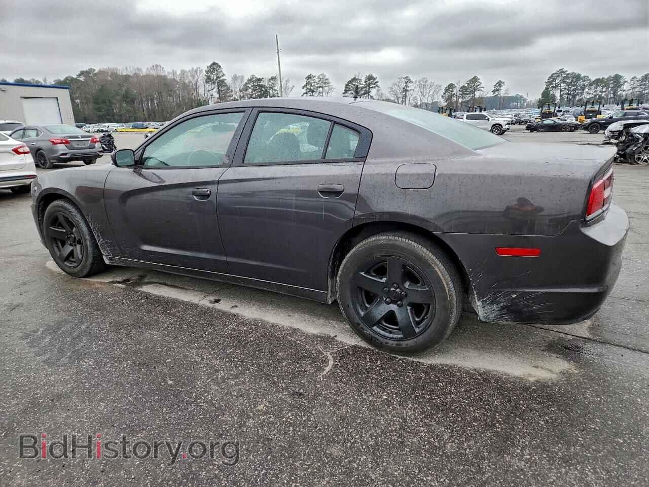 2013 DODGE CHARGER - VIN: 2C3CDXAT6DH667521 - Фото 2