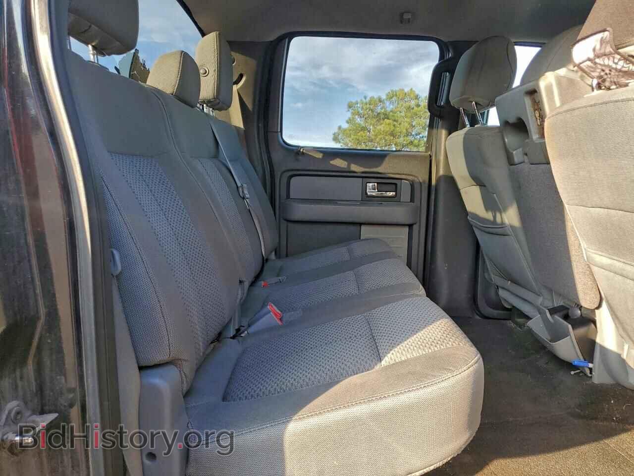 2013 FORD F-150 - VIN: 1FTFW1EF0DFB72771 - Фото 10