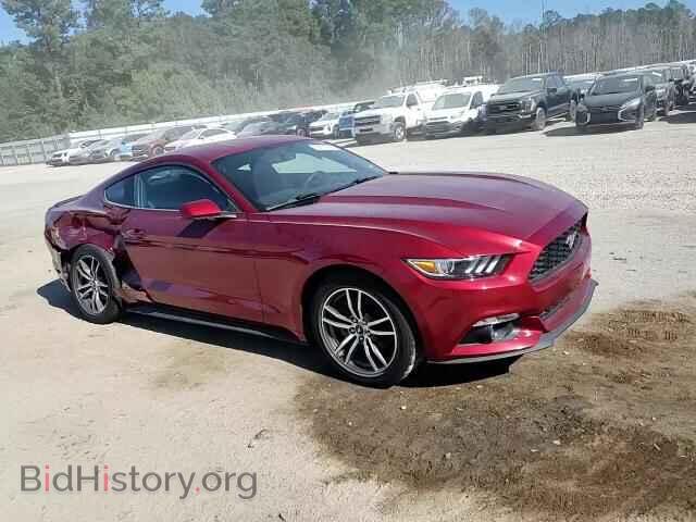 2016 FORD ALL Models - VIN: 1FA6P8TH3G5236649 - Photo 13