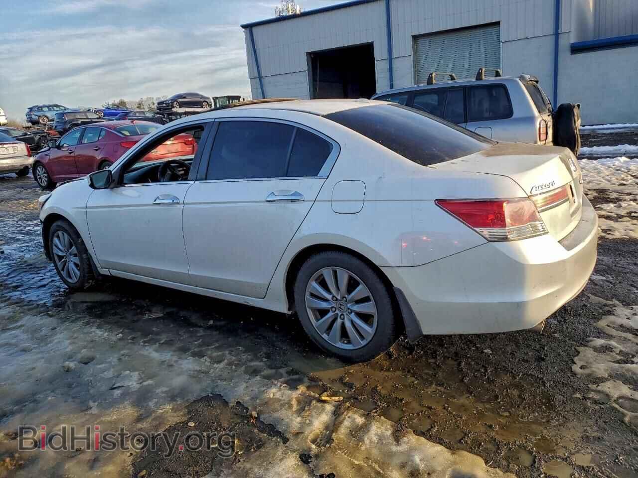2011 HONDA ACCORD - VIN: 5KBCP3F80BB004109 - Фото 2