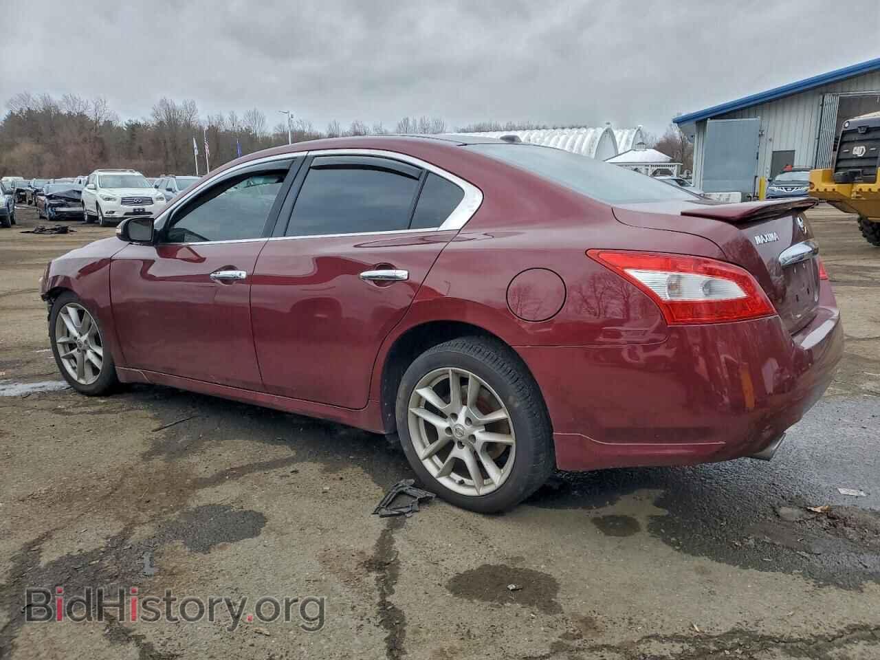 2011 NISSAN MAXIMA - VIN: 1N4AA5AP4BC816503 - Фото 2