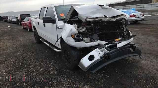 2014 FORD F-150 - VIN: 1FTFW1EF4EFC97581 - Фото 13