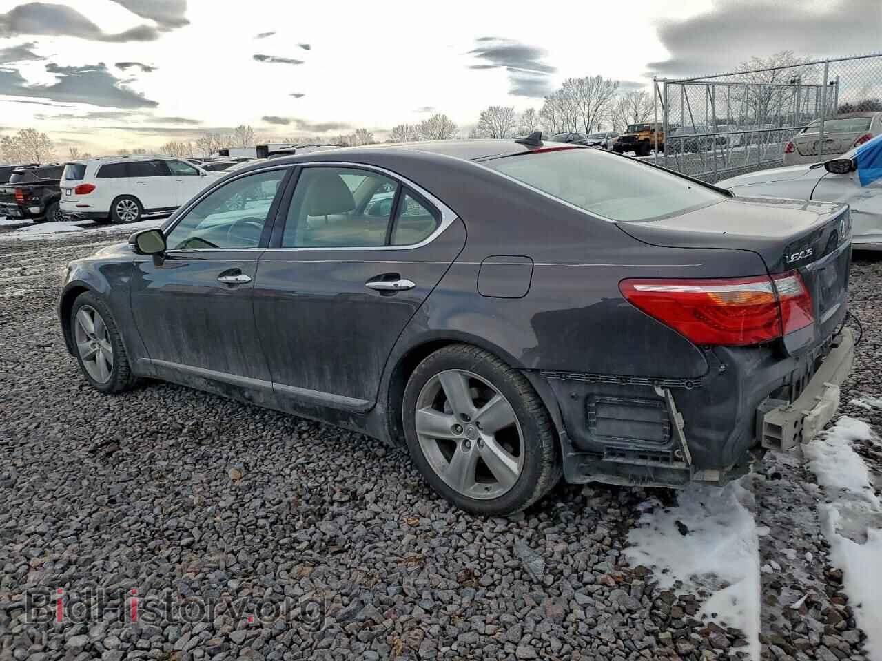 2010 LEXUS LS460 - VIN: JTHBL5EF3A5097112 - Фото 2