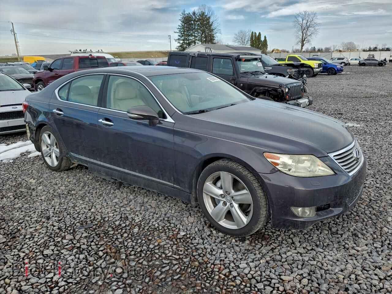 2010 LEXUS LS460 - VIN: JTHBL5EF3A5097112 - Фото 4