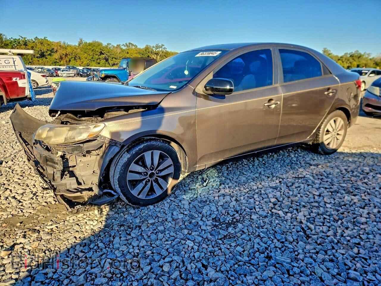 Photo KNAFU4A26D5669563 - KIA FORTE 2013