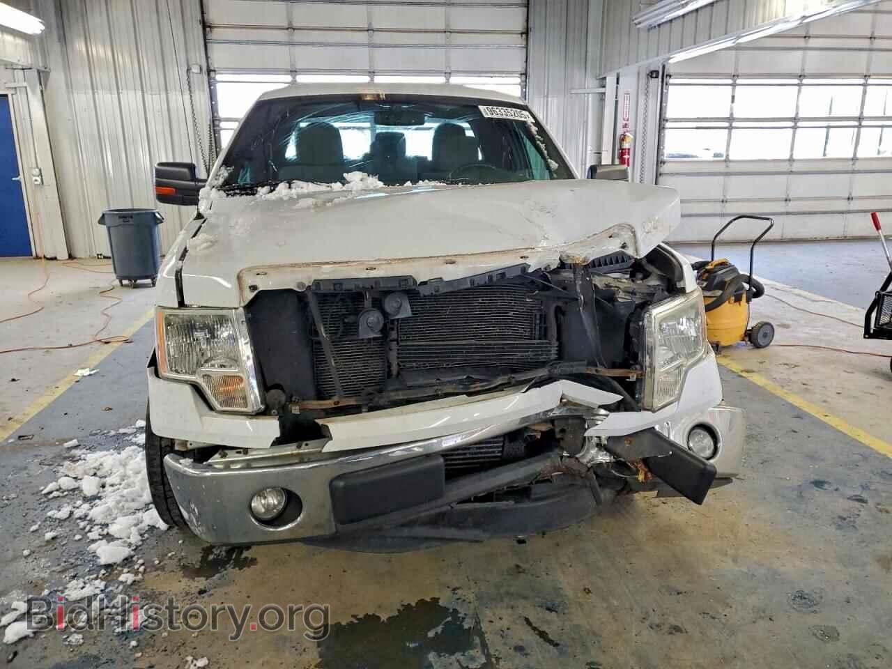 2012 FORD F-150 - VIN: 1FTFX1CT2CFA59828 - Фото 5