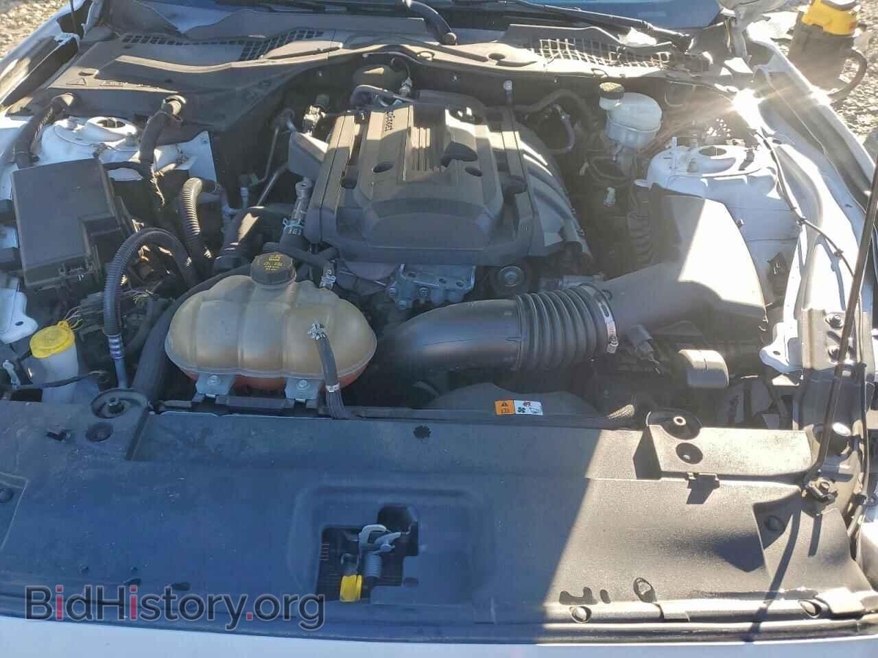 2017 FORD ALL Models - VIN: 1FA6P8TH2H5335335 - Photo 11