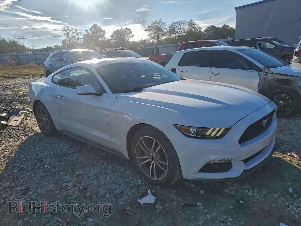 2017 FORD ALL Models - VIN: 1FA6P8TH2H5335335 - Photo 4