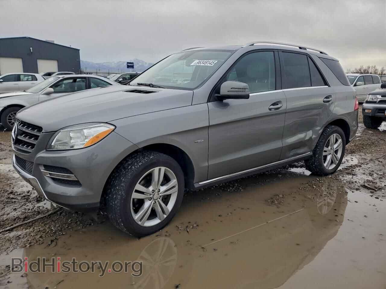 Photo 4JGDA5HB0CA011060 - MERCEDES-BENZ M-CLASS 2012
