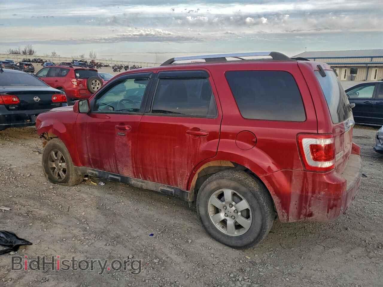 2010 FORD ESCAPE - VIN: 1FMCU0E79AKC76170 - Фото 2
